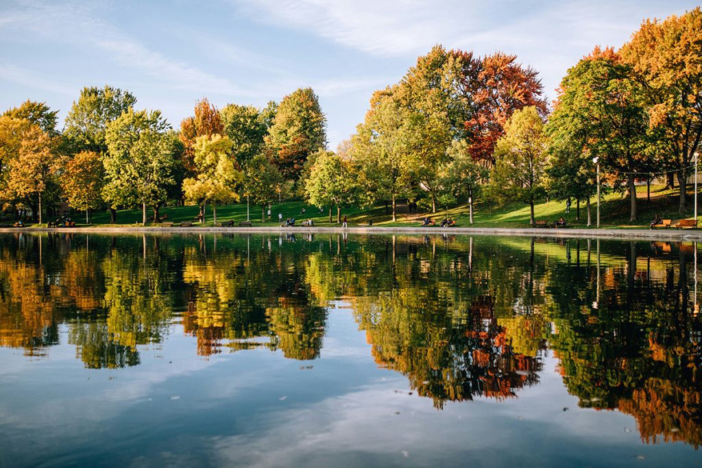Landscape of a park in Montreal, QC, Canada during autumn