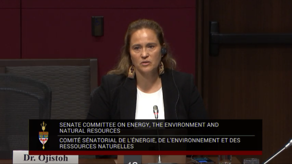 Photo of Dr. Ojistoh speaking to the members of Standing Senate Committee on Energy, Environment and Natural Resources about environmental justice and human health