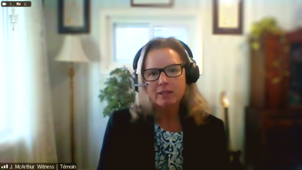 Photo of CAPE's Jane McArthur speaking in a webinar to ENVI about environmental racism