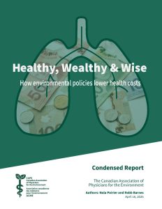 Healthy, Wealthy & Wise condensed report cover page with an illustration of a lung filled with an image of cash