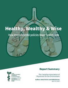 Healthy, Wealthy & Wise report summary cover page with an illustration of a lung filled with an image of cash