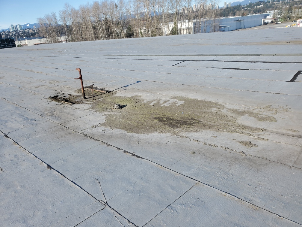 Dust build up on rooftop near Burnaby incinerator