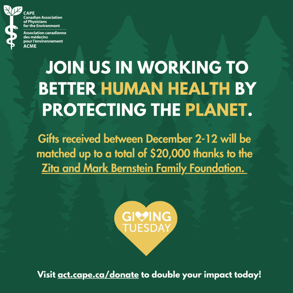 Forest-themed graphic with text: Join us in working to better human health by protecting the planet. Gifts received between December 2-12 will be matched up to a total of $20,000 thanks to the Zita and Mark Bernstein Family Foundation. Visit act.cape.ca/donate to double your impact today!